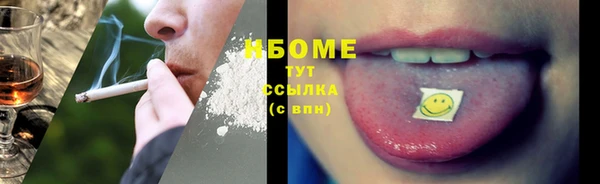 прущие грибы Дегтярск
