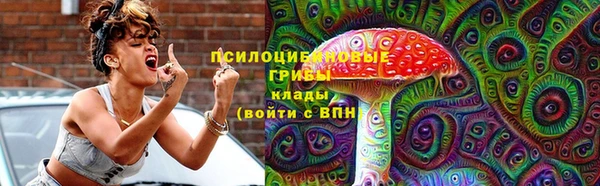 дживик Армянск