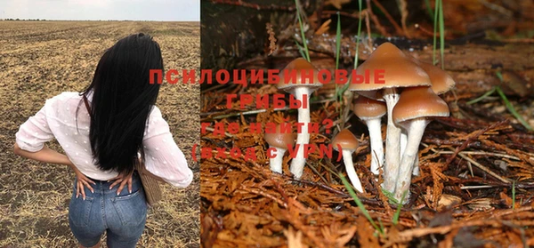 спайс Аркадак