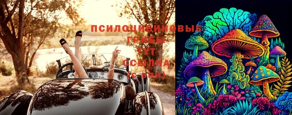 a pvp Арсеньев