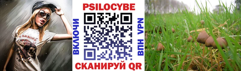 купить наркоту  Котельниково  Галлюциногенные грибы мухоморы 